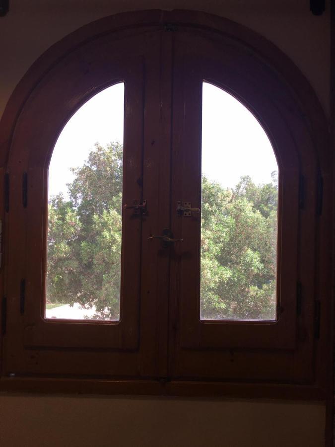 Dahab Home Bed&Breakfast Buitenkant foto